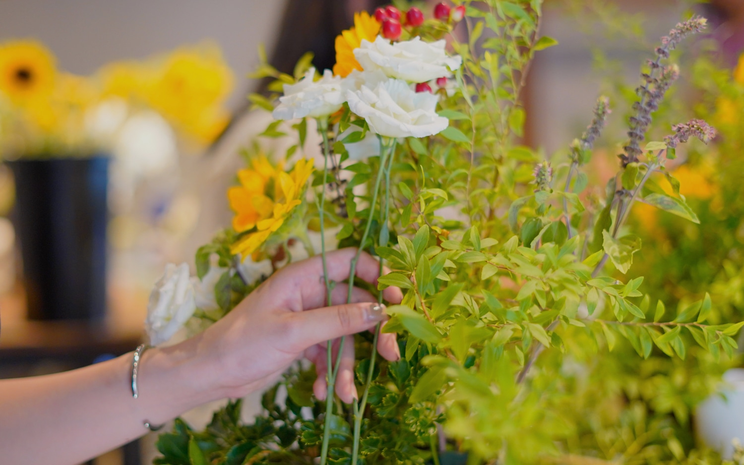 ワークショップ・レッスン